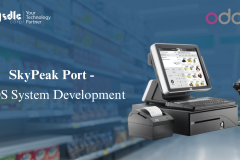 SkyPeak Port - POS System Development